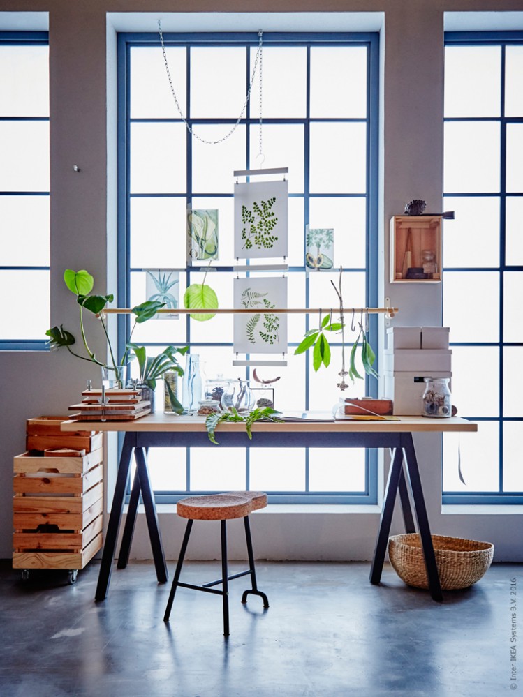 La nature jusque sur le bureau