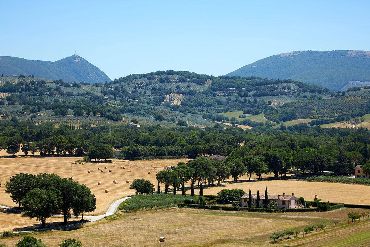 paysage collines Ombrie en Italie