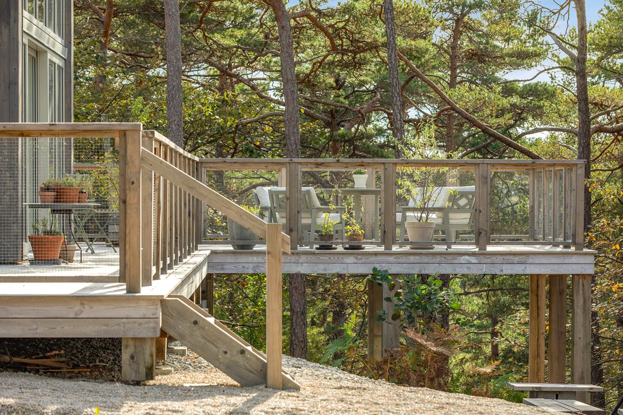 terrasse bois maison en bois