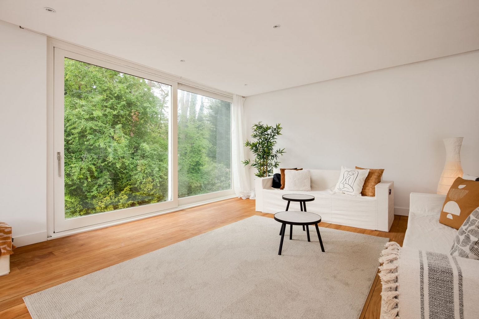salon minimaliste maison contemporaine