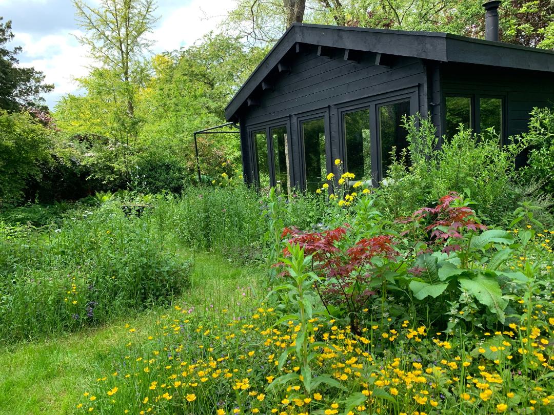 petite maison noire avec jardin 