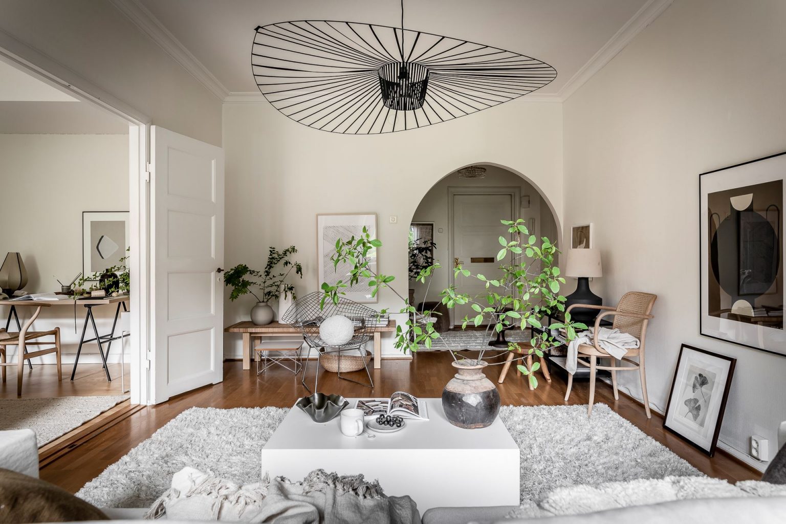 salon blanc décoration plantes vertes