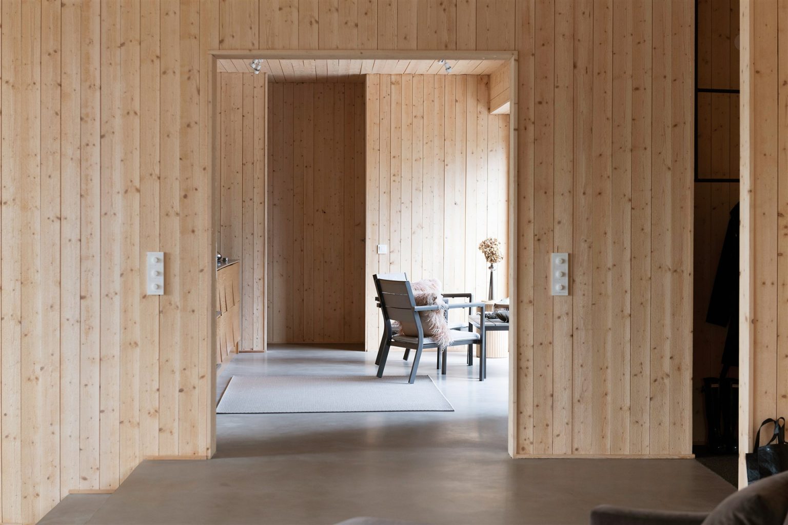 salon maison en bois décoration design