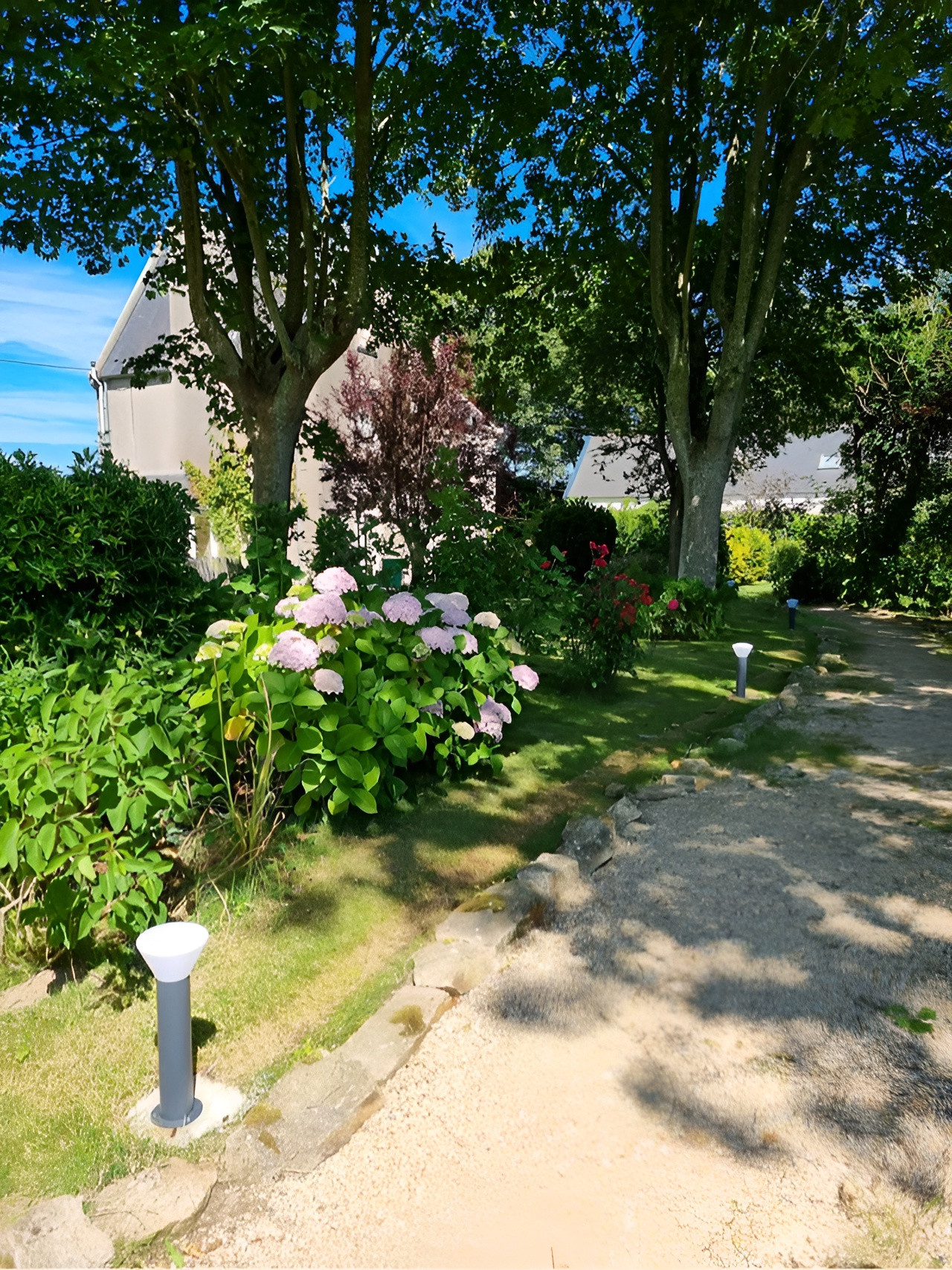 jardin maison ancienne en Bretagne avec hortensias