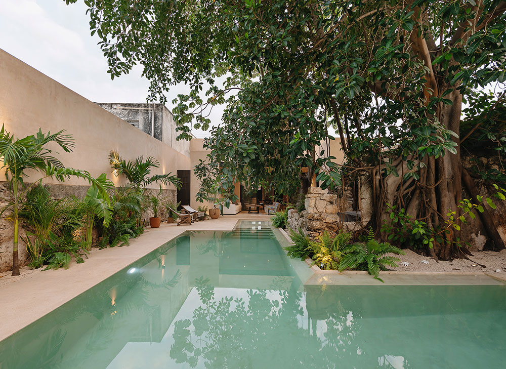 jardin avec piscine maison ancienne rénovée Mexique