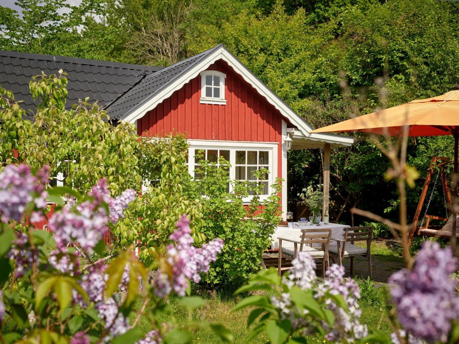 petite maison en bois rouge 19m2 et jardin