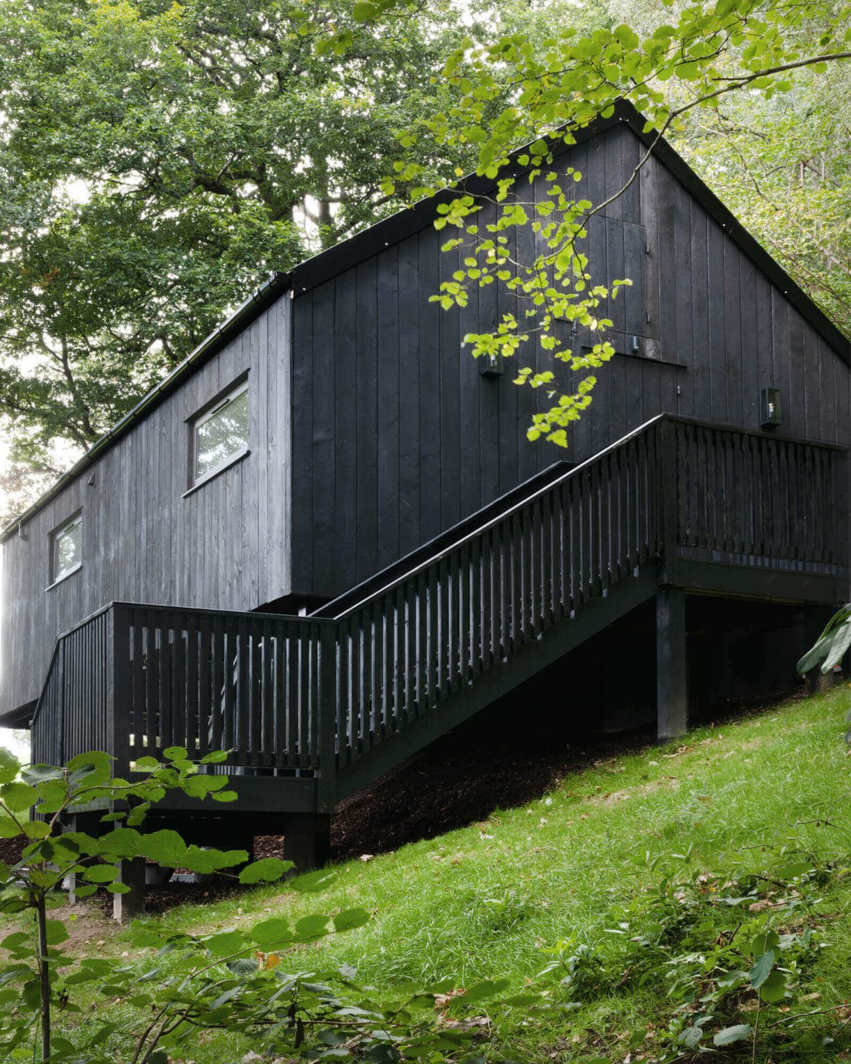 maison en bois noir