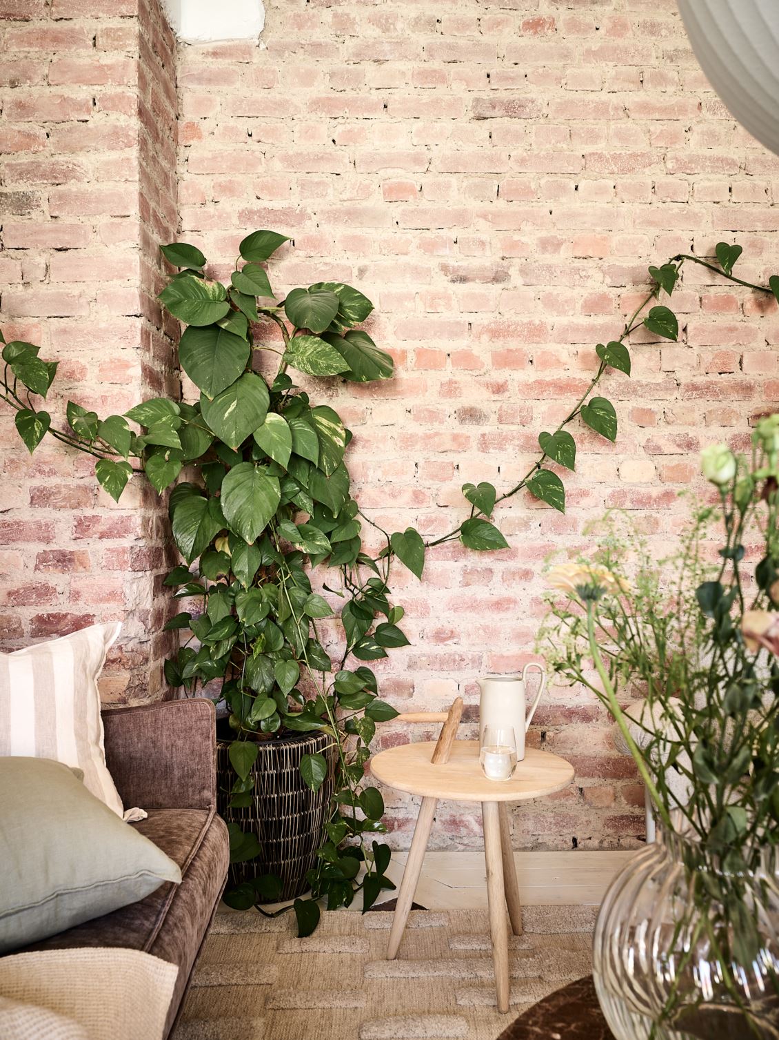 salon mur de briques et plantes