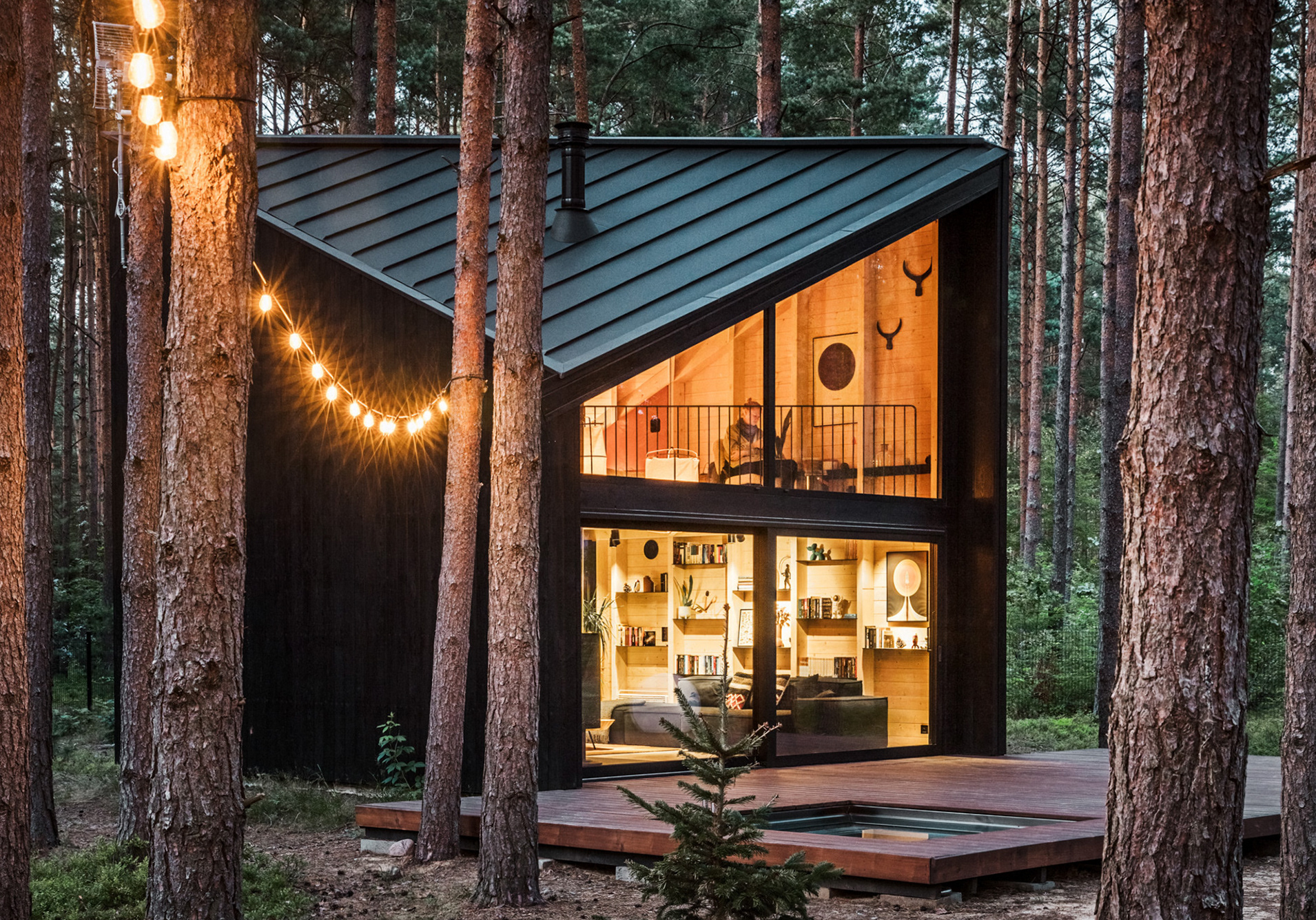 mini maison en bois 40m2