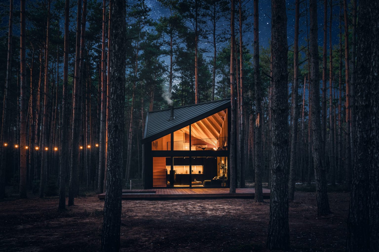 mini maison en bois 40m2