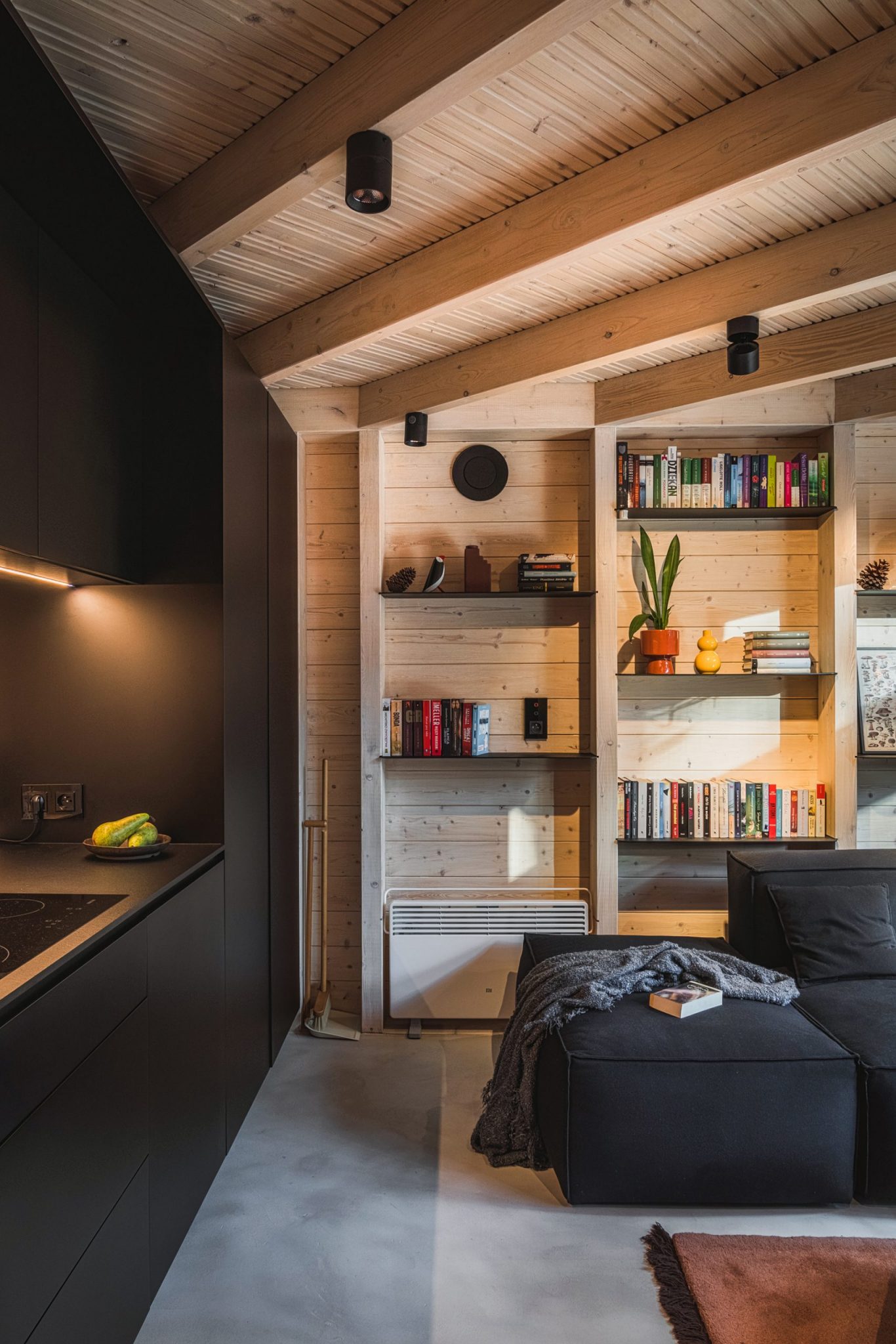 salon avec cuisine ouverte mini maison en bois 40m2