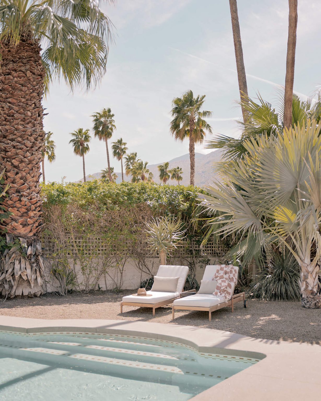 jardin avec piscine et palmiers