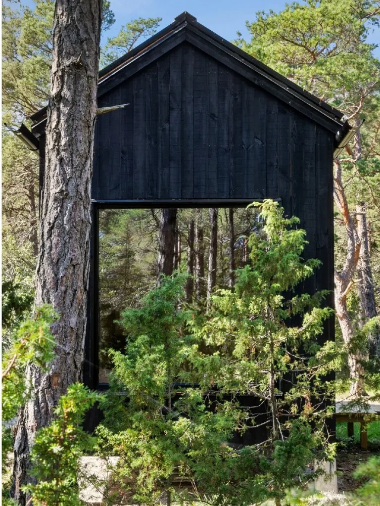 mini maison en bois noir 25m2