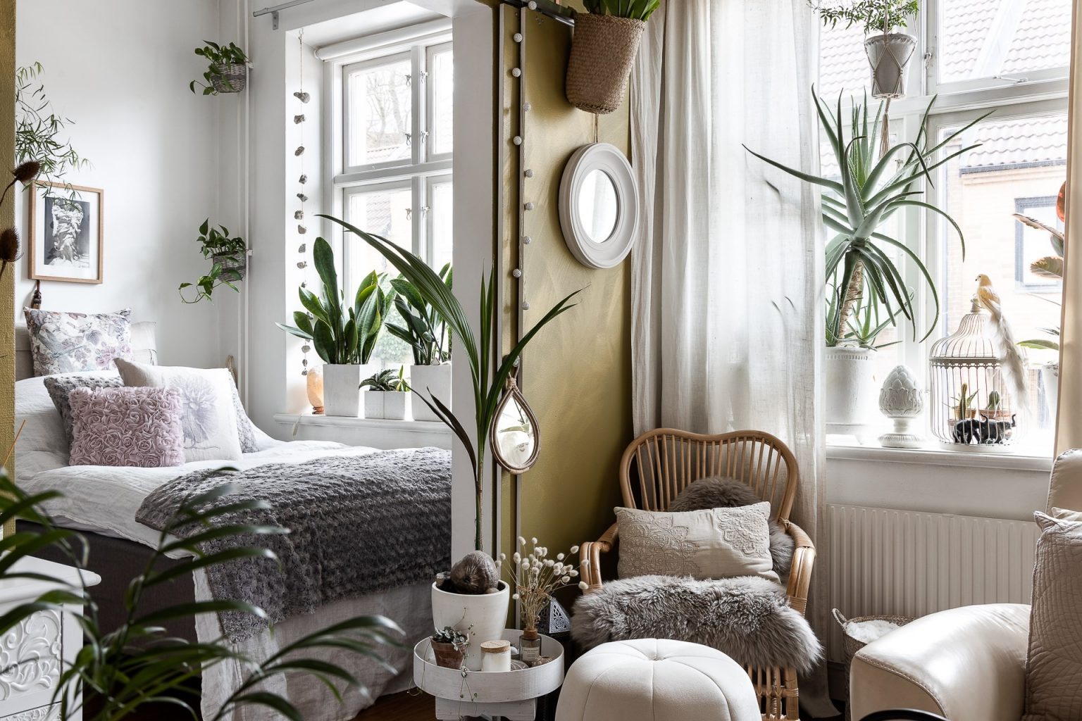 salon avec plantes décoration scandinave