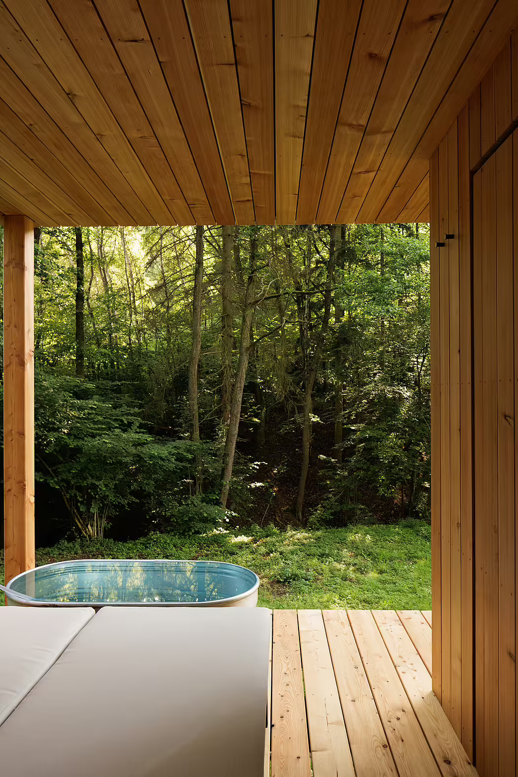 terrasse sauna avec bain froid