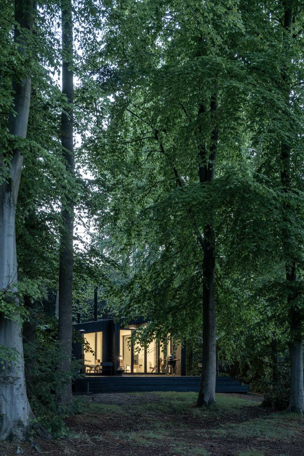 grande maison design en bois