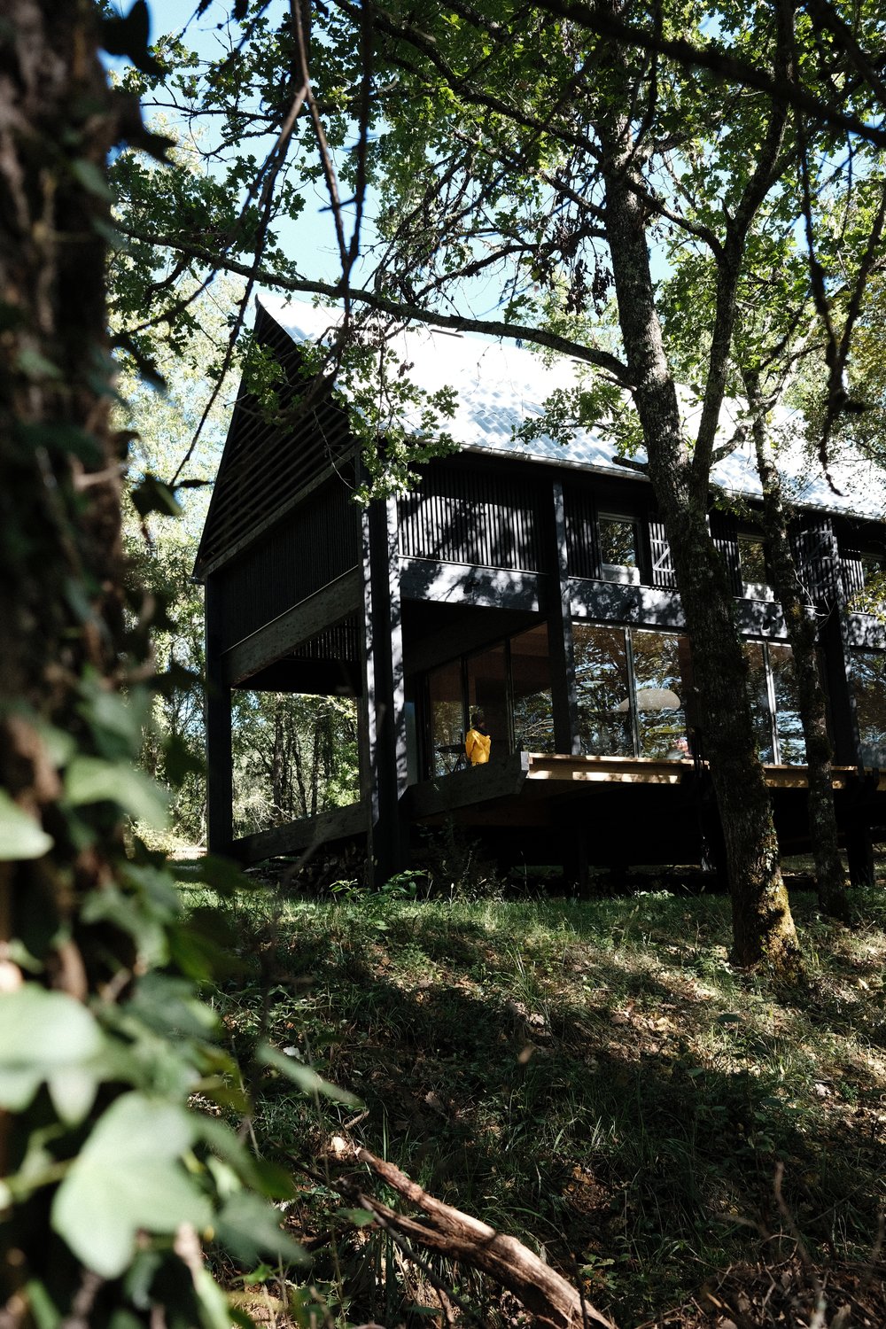maison en bois noir contemporaine
