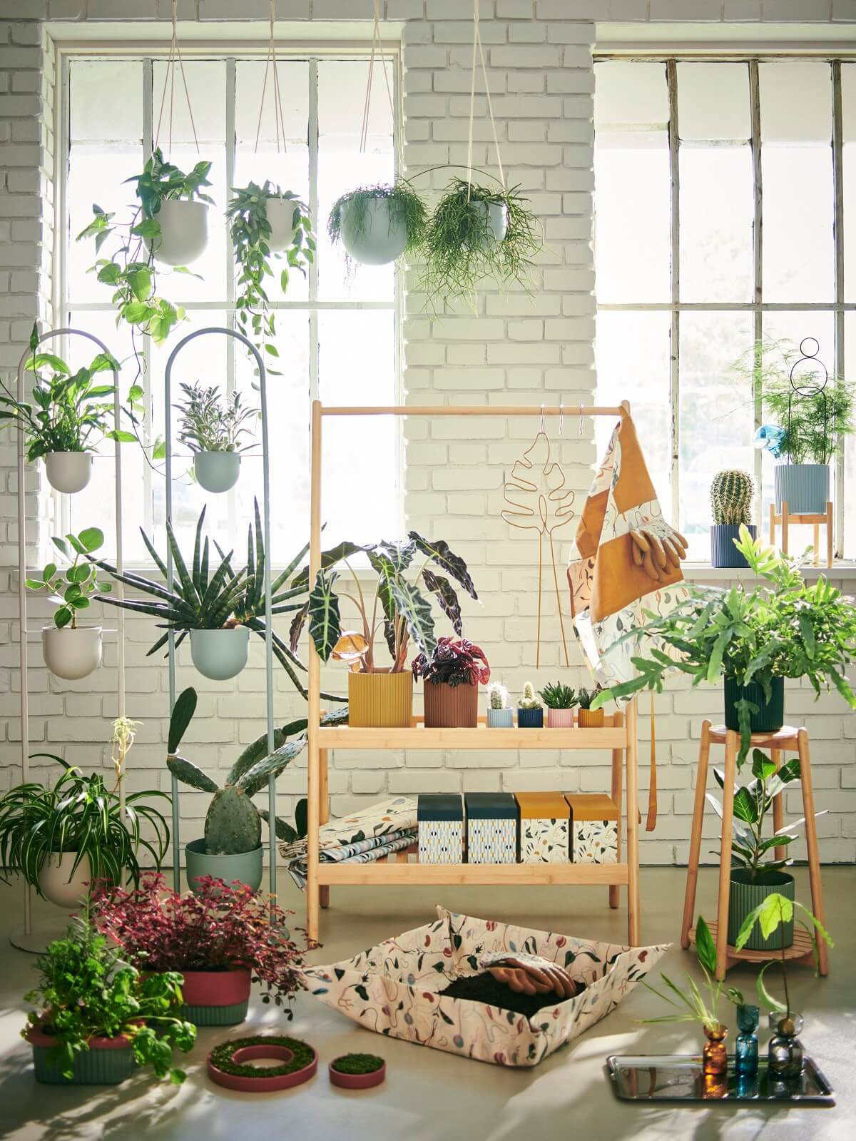 IKEA 2024 collection DAKSJUS plantes