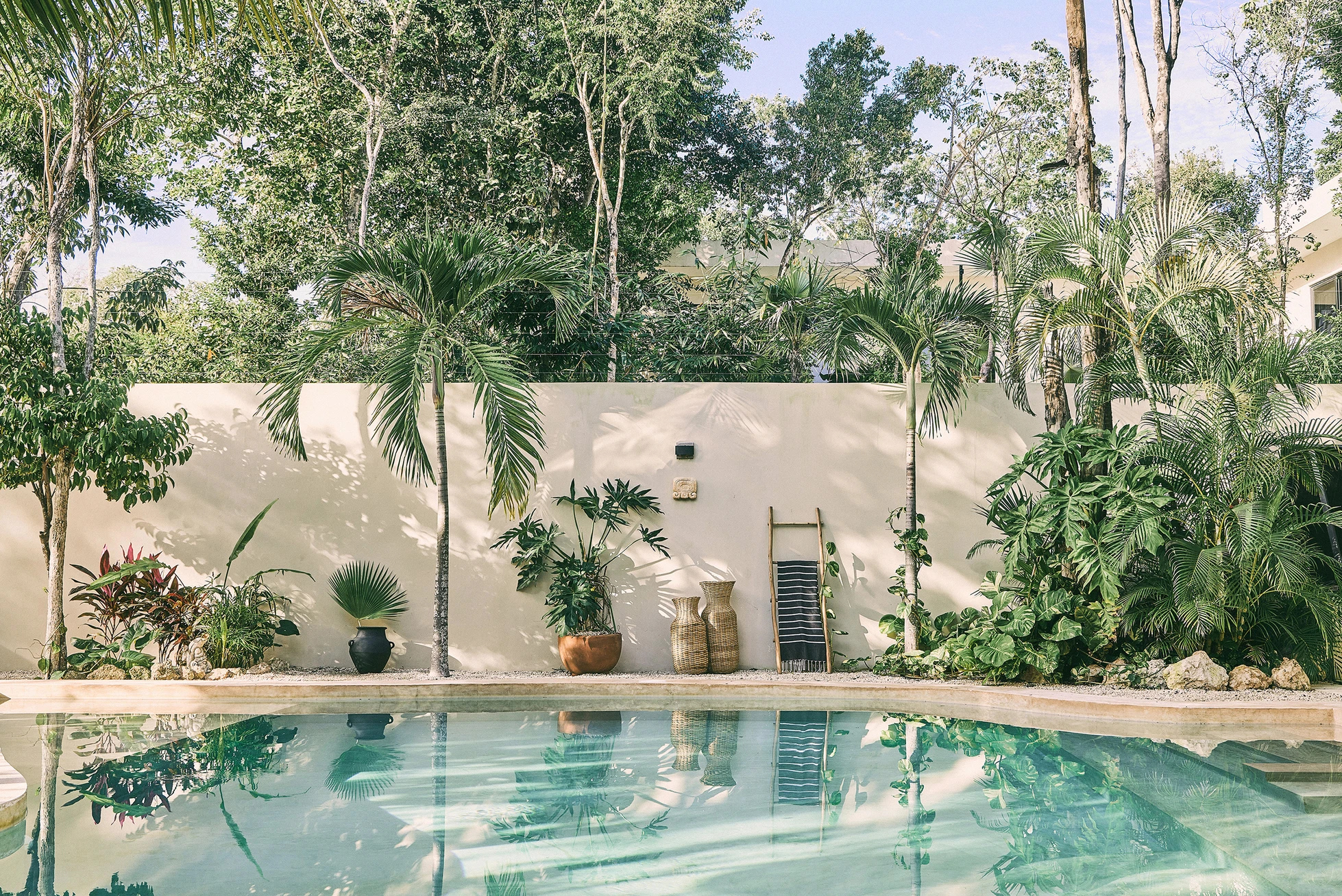 jardin avec piscine maison Tulum