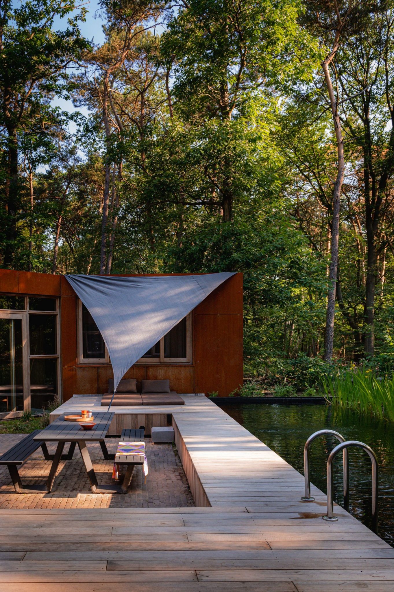 maison contemporaine intérieur bois avec piscine naturelle