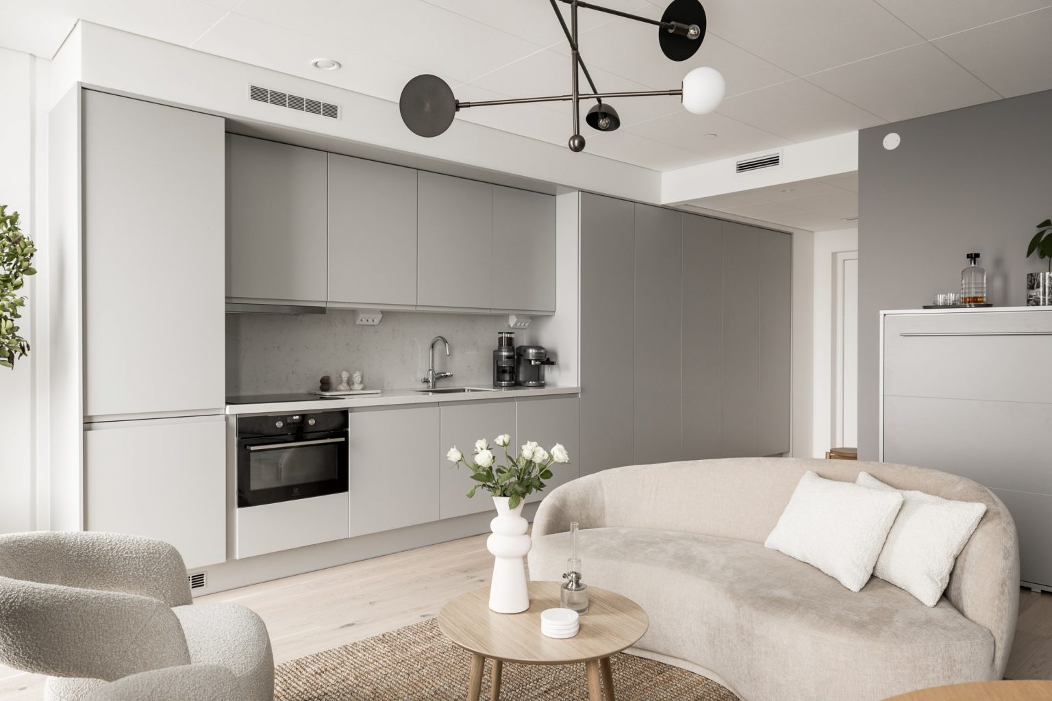 salon et cuisine studio 32m2 design décoration grise