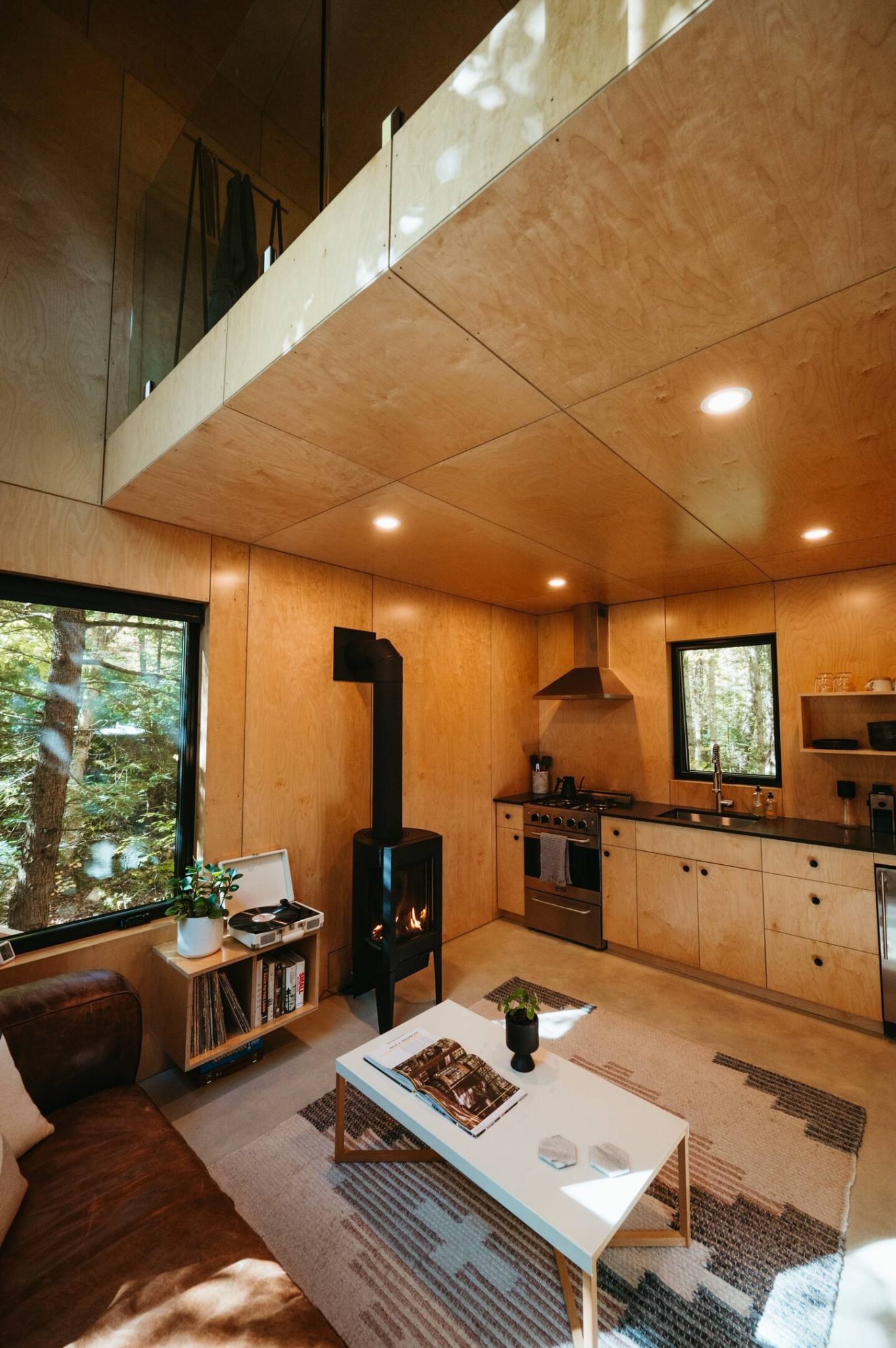 salon et cuisine ouverte décoration contemporaine petite maison en bois