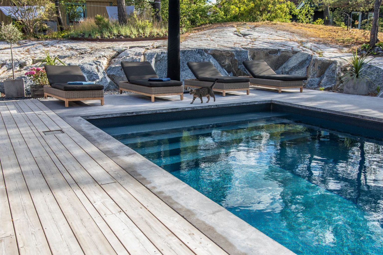 terrasse bois maison en bois