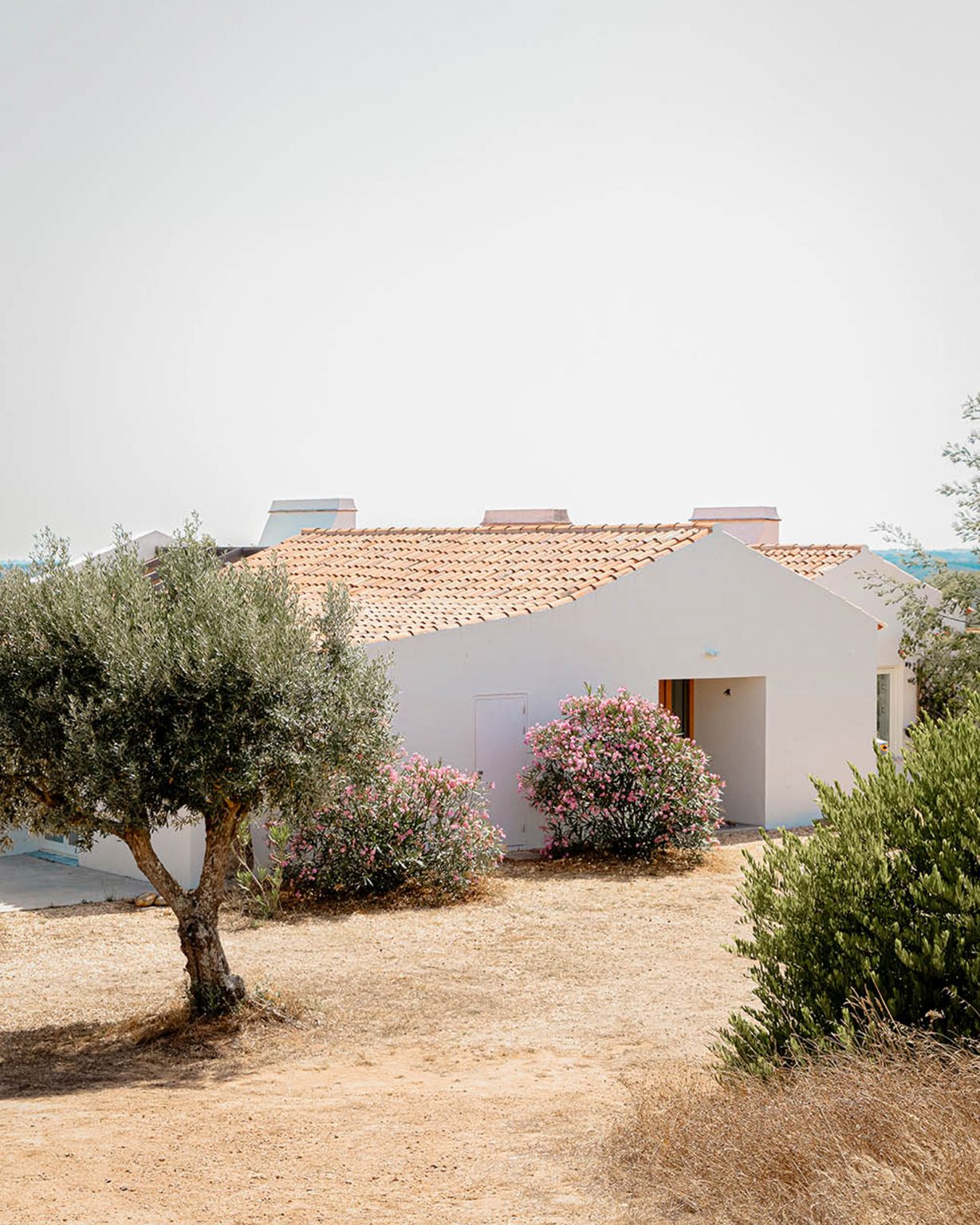 maison ancienne et blanche Portugal Casa Acima