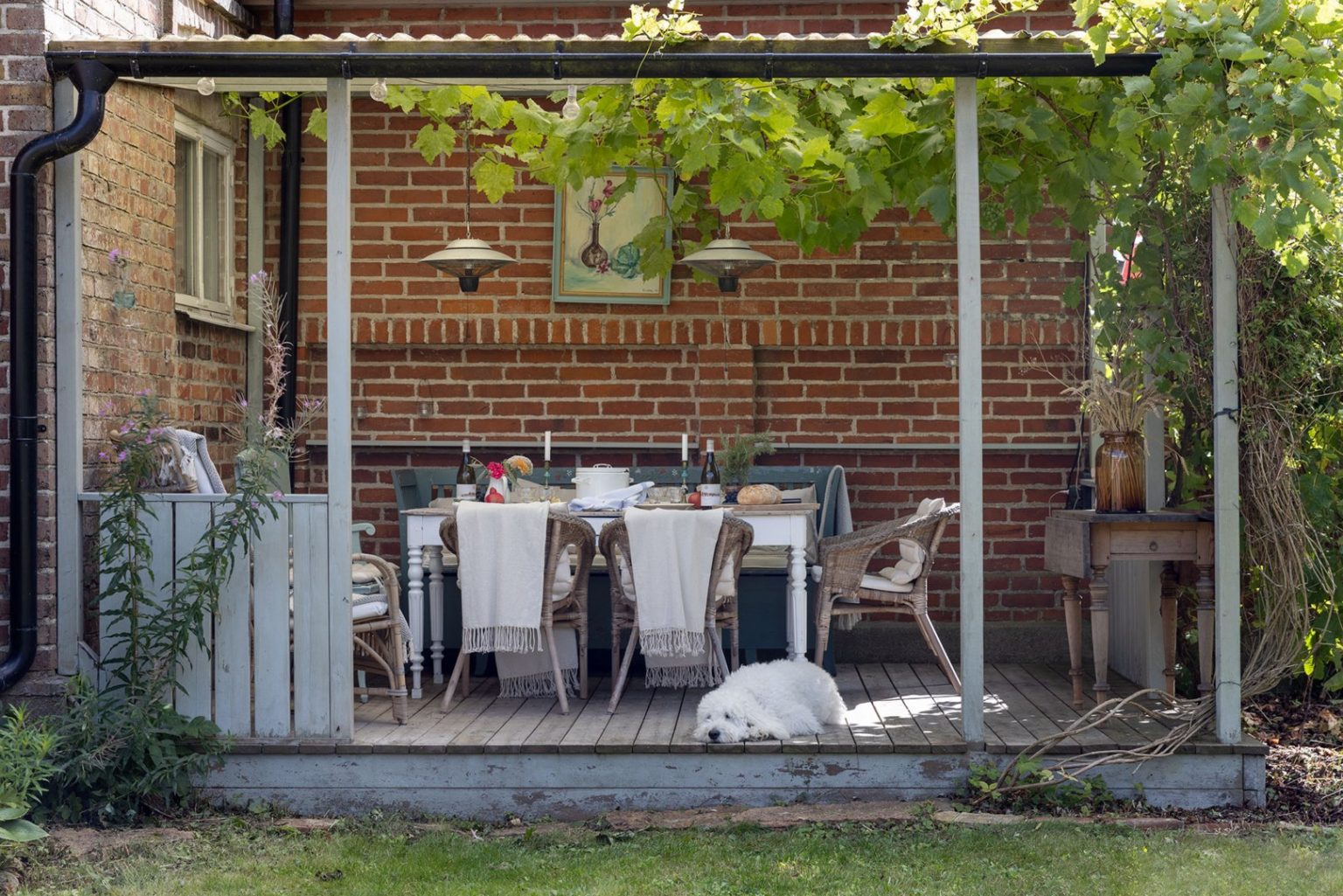 terrasse avec pergola acier