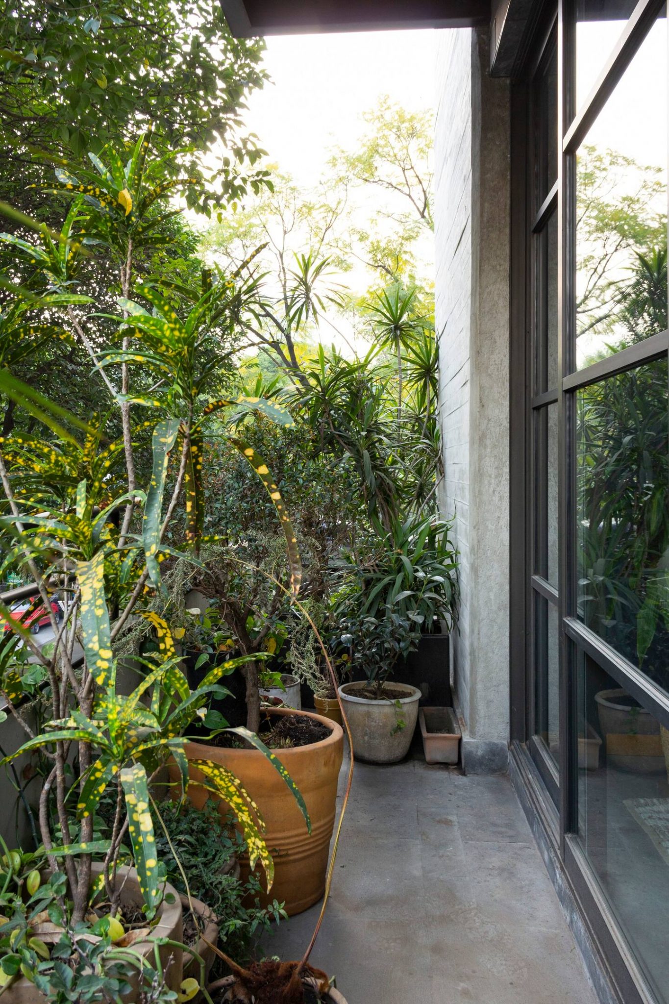 balcon filant avec plantes vertes appartement décoration contemporaine