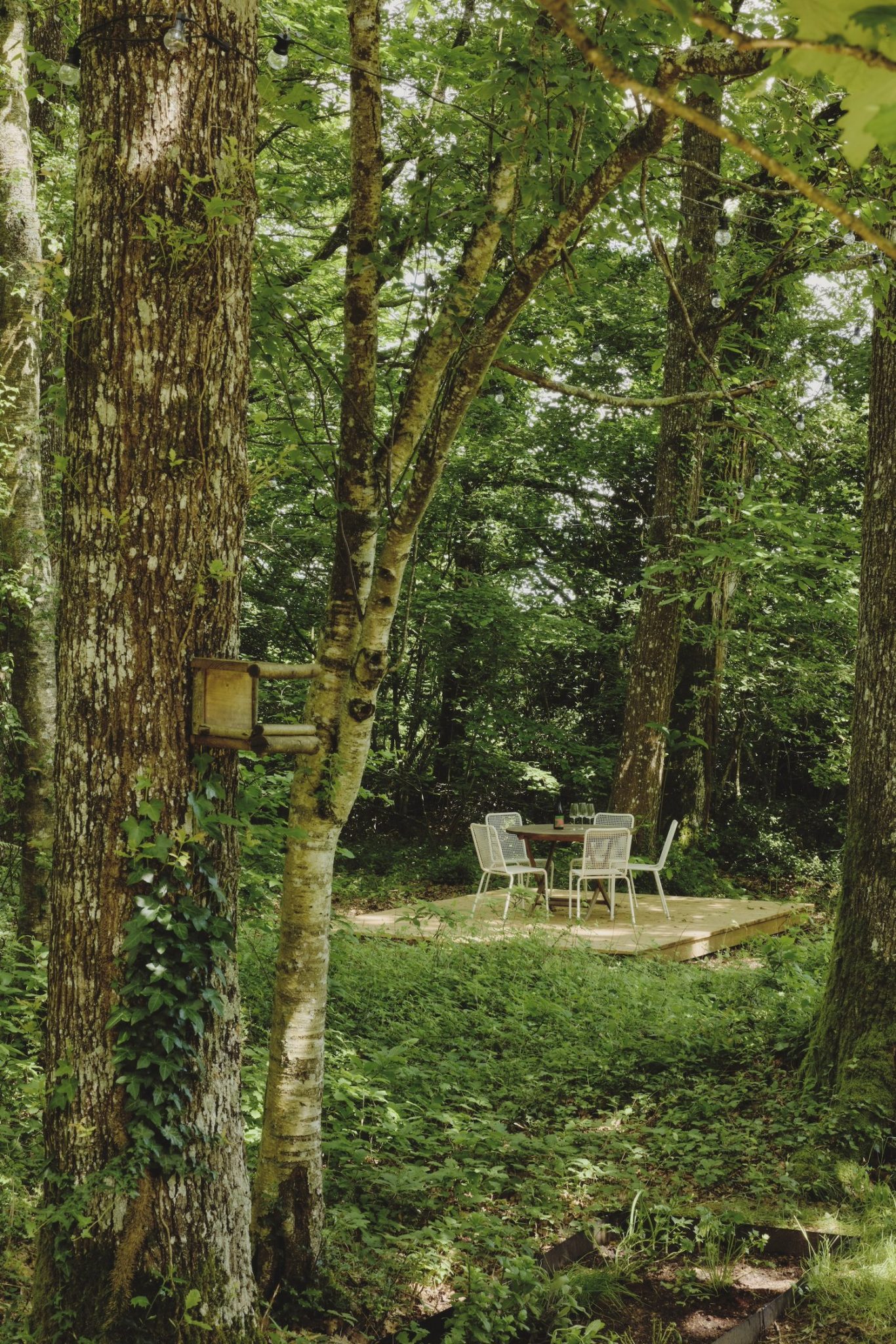 jardin Maison Sauvage photo Valentin Le Cron