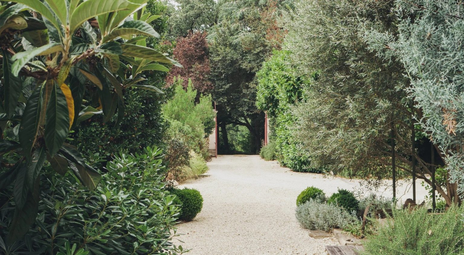 jardin maison ancienne en pierres Gers