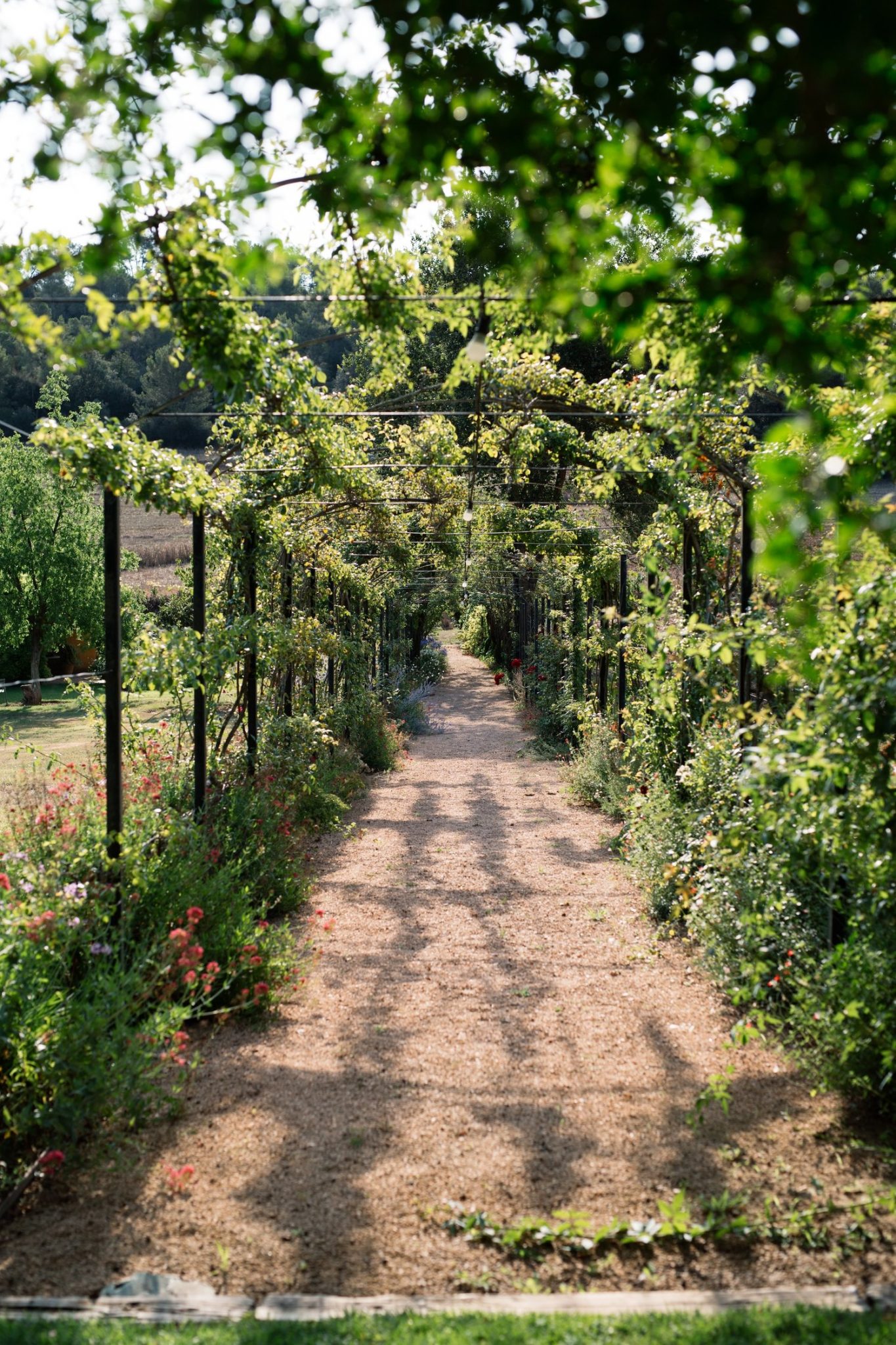 allée avec pergola Mas Flor