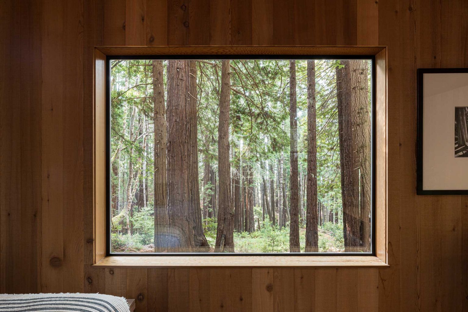 chambre vue forêt cabane Sea Ranch Californie