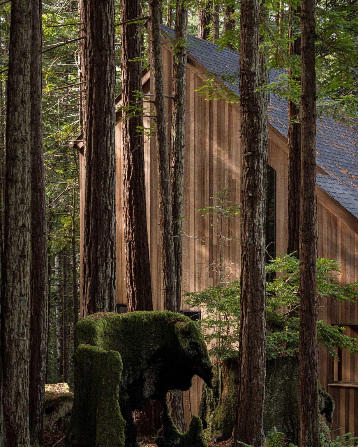 maison en bois Sea Ranch Californie