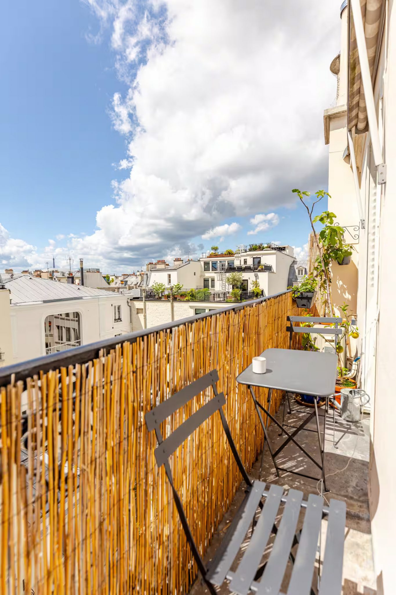 balcon vue sur toits et tour Eiffel deux-pièces Paris