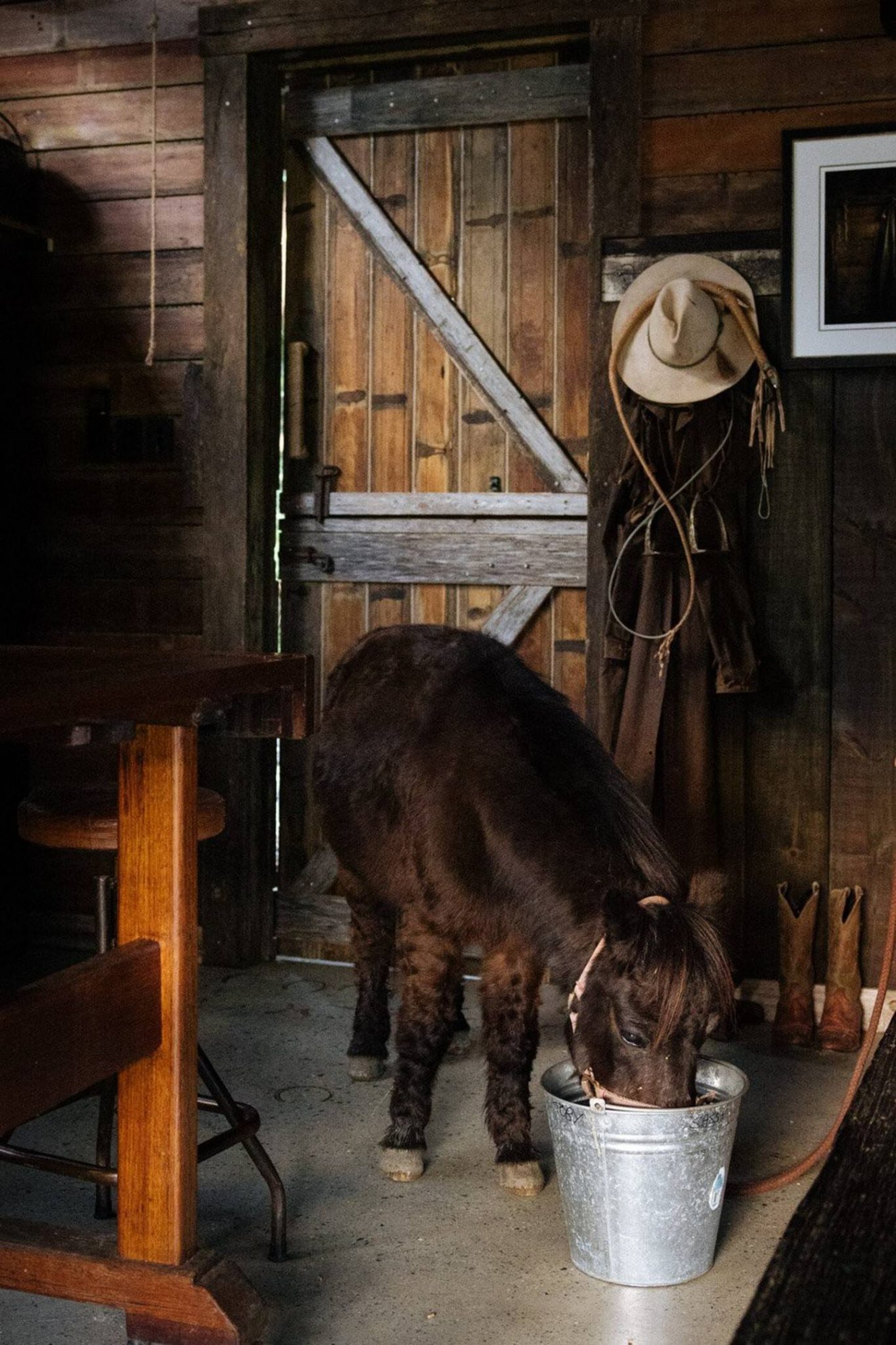 maison rustique chic Hillview Stables Australie