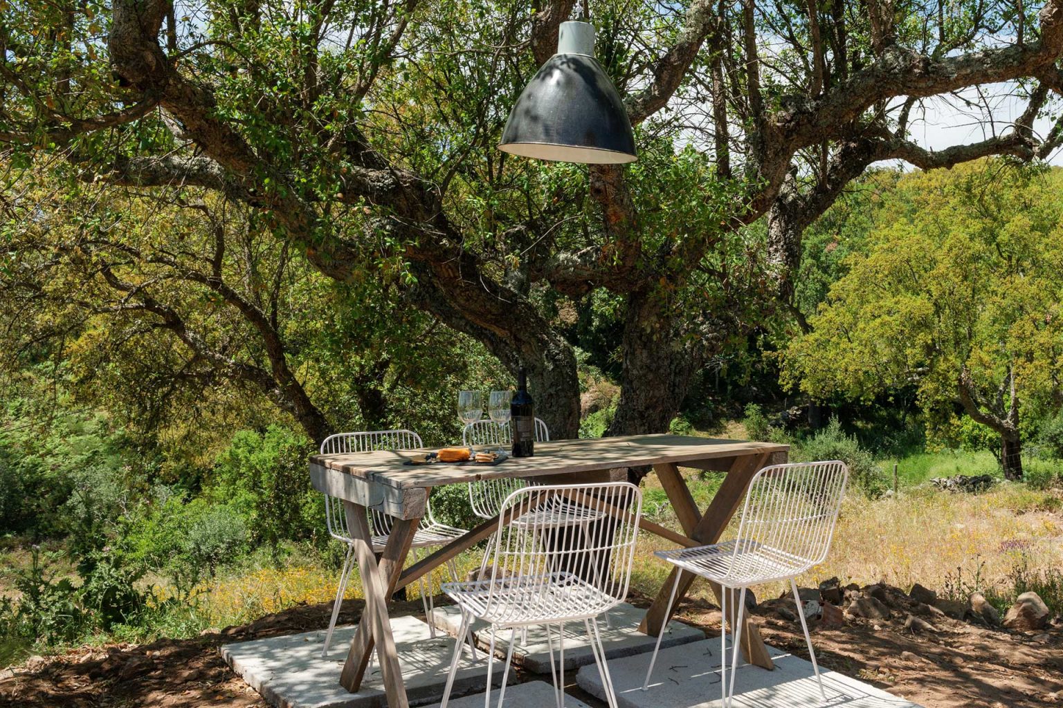 jardin avec chêne liège et chênes verts Vigias