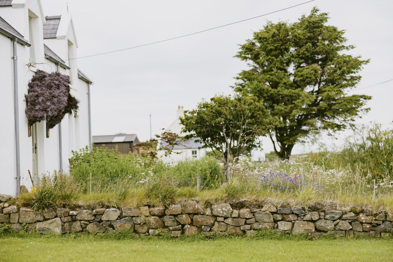 jardin maison ancienne île de Skye