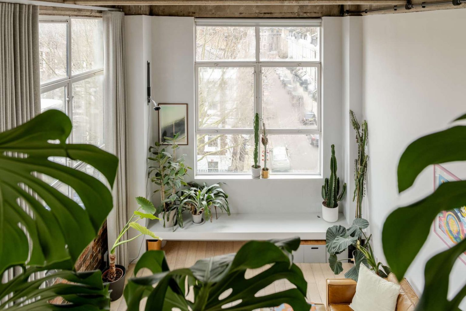 salon avec plantes vertes loft en duplex de 68m2