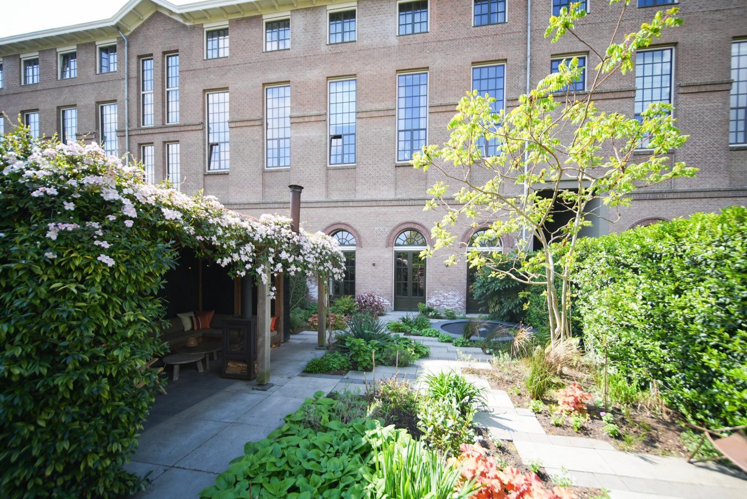 jardin sans gazon