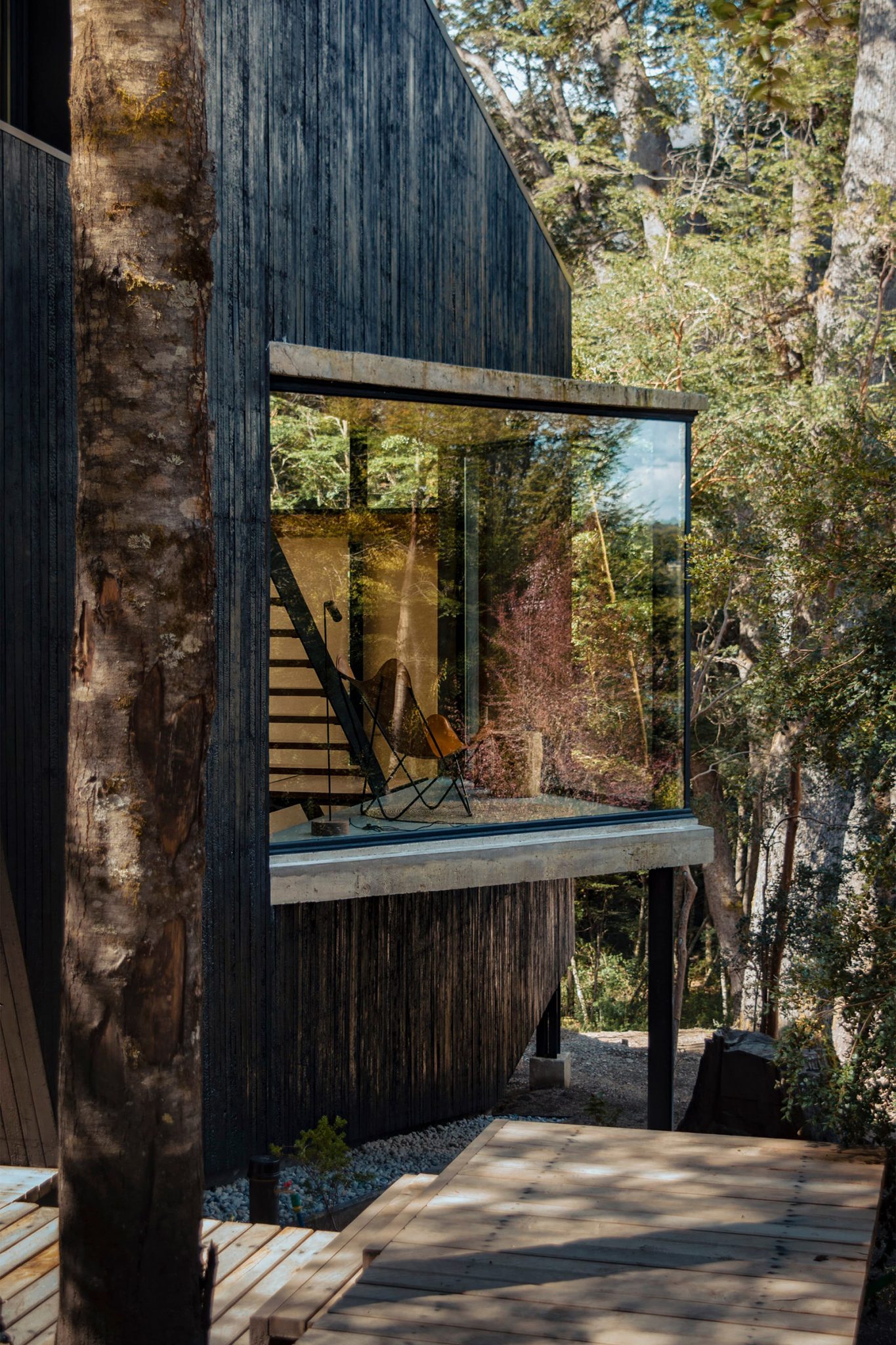 maison en bois noir décoration contemporaine