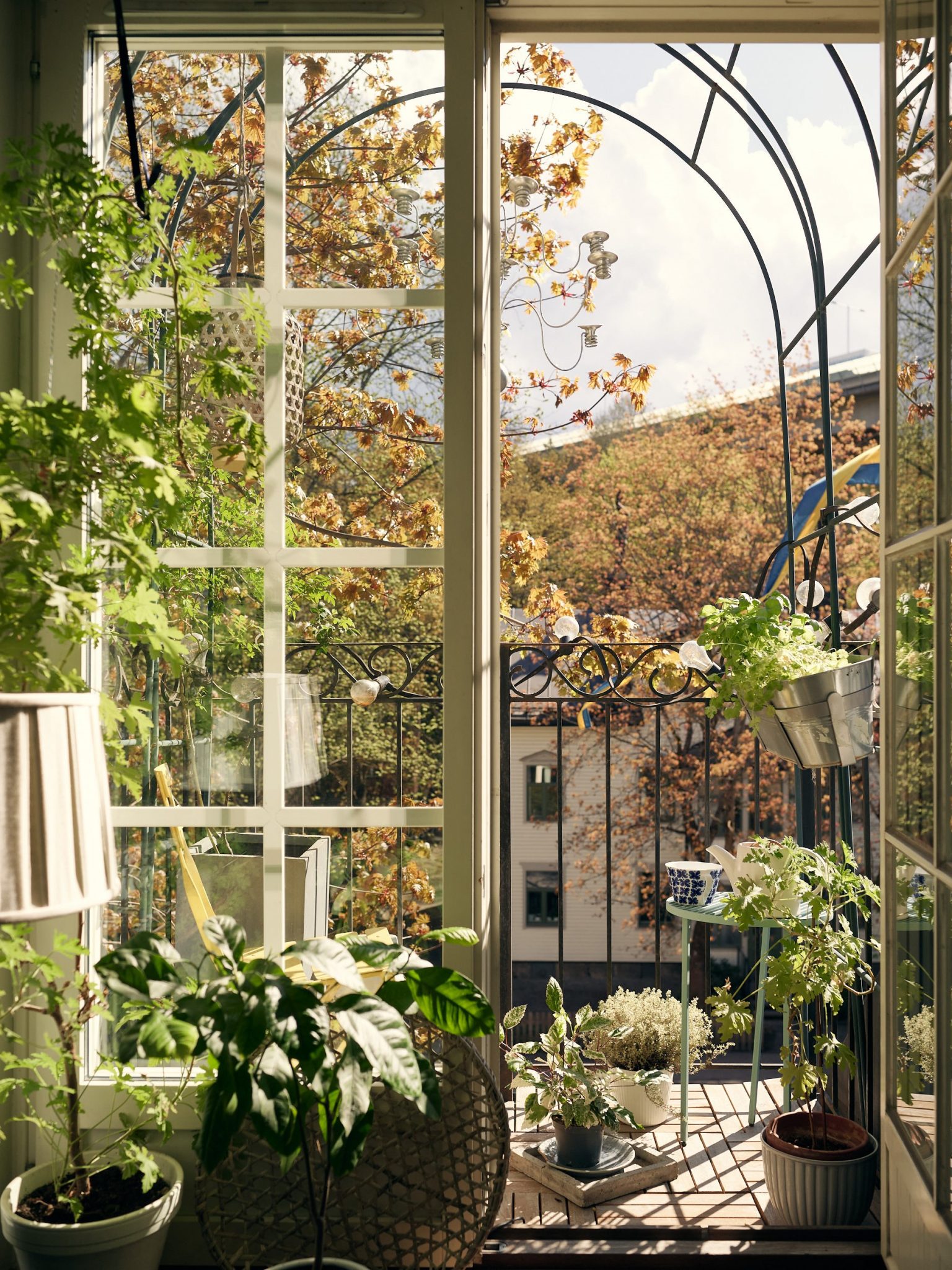balcon avec plantes