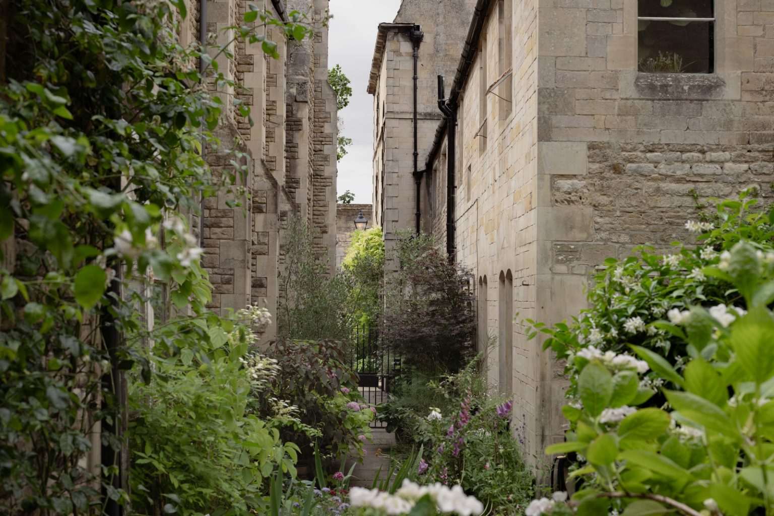 jardin maison ancienne anglaise