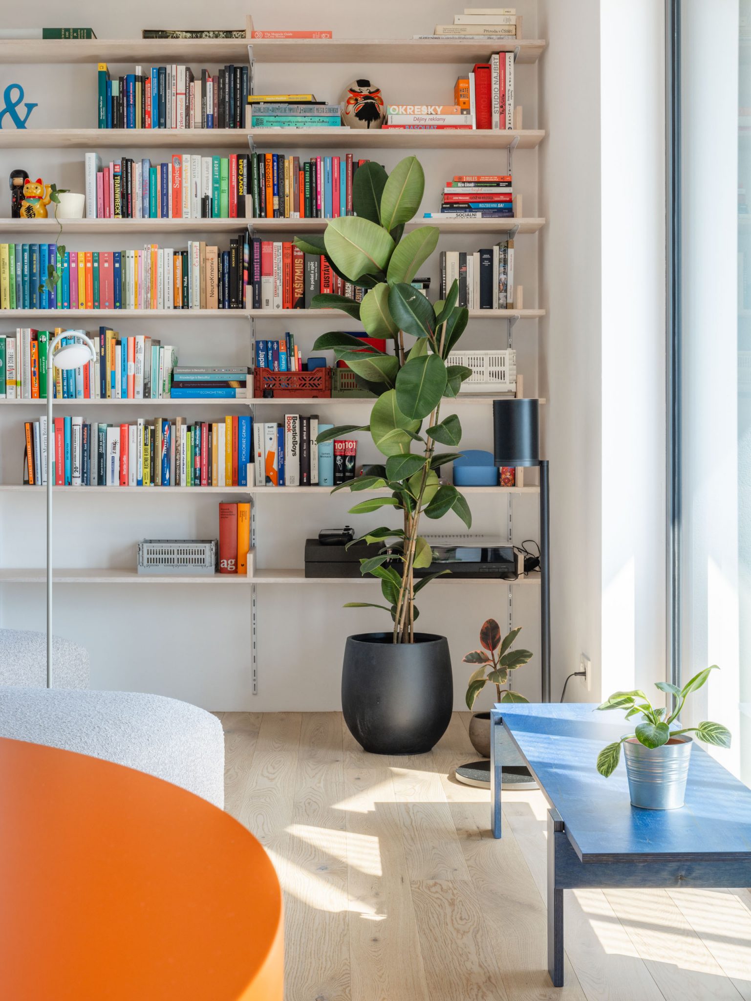 salon avec bibliothèque décoration design