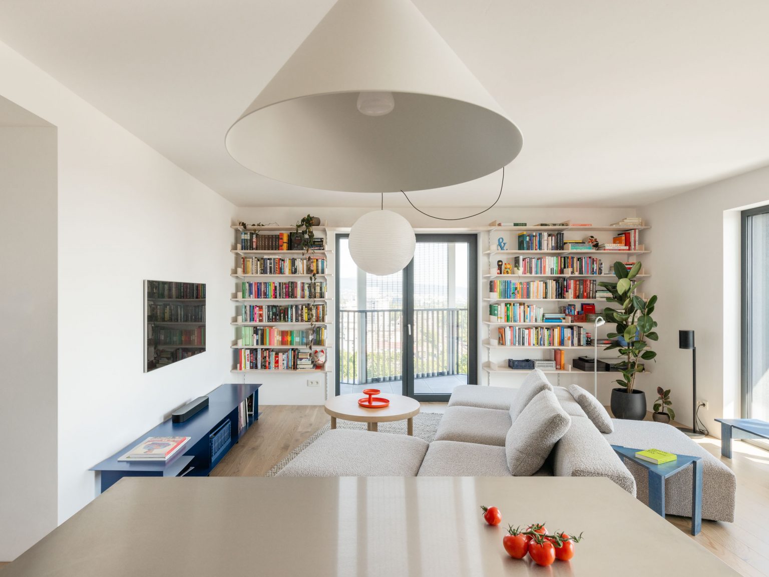 salon avec bibliothèque décoration design