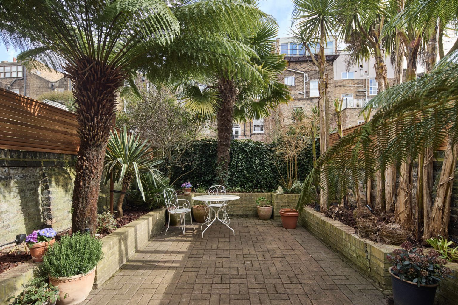 jardin de ville avec palmier maison Londres