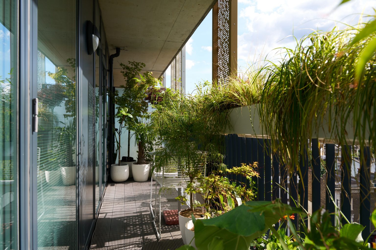 balcon abrité type loggia avec plantes vertes