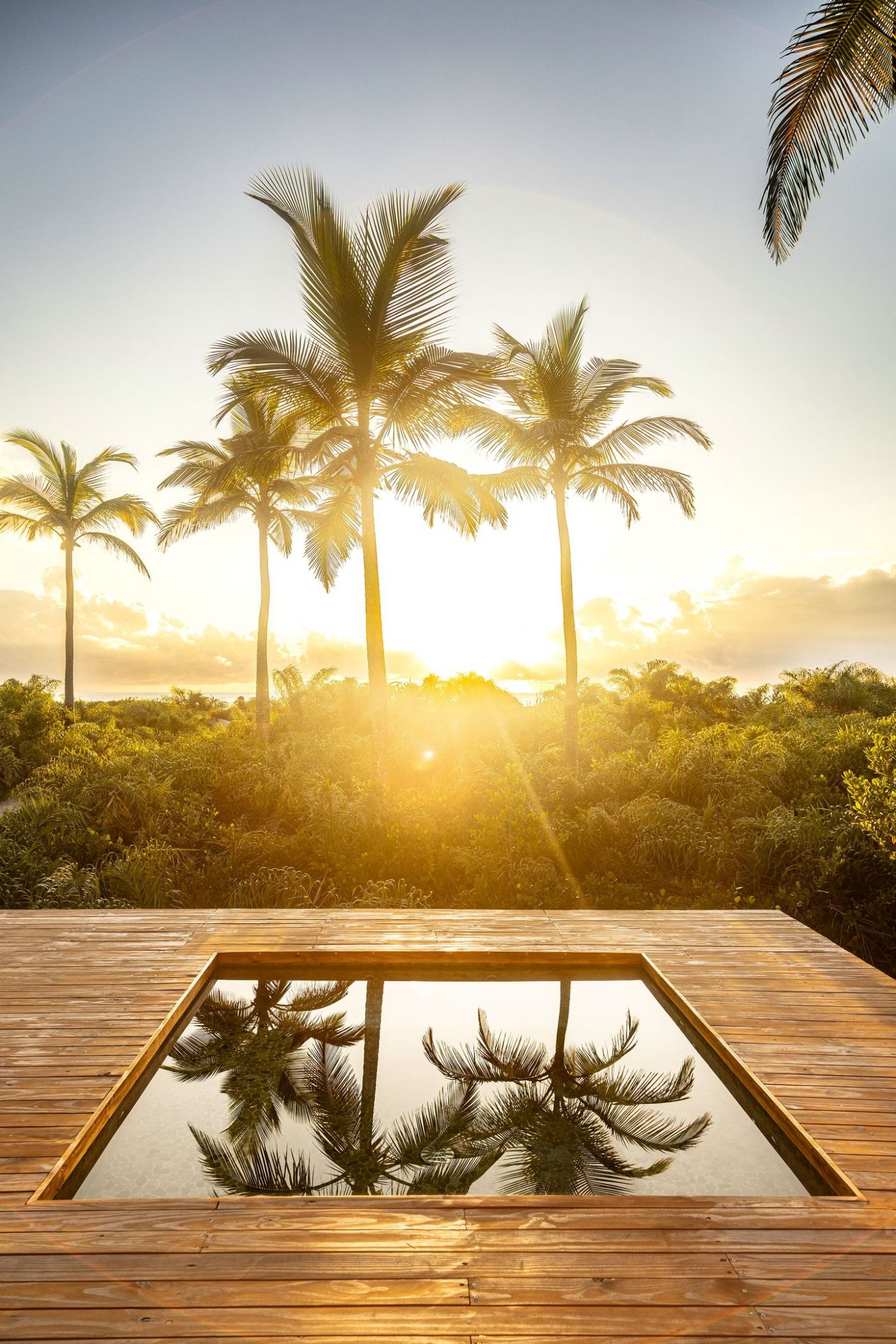 piscine sur terrasse bois maison contemporaine Modular Bahia