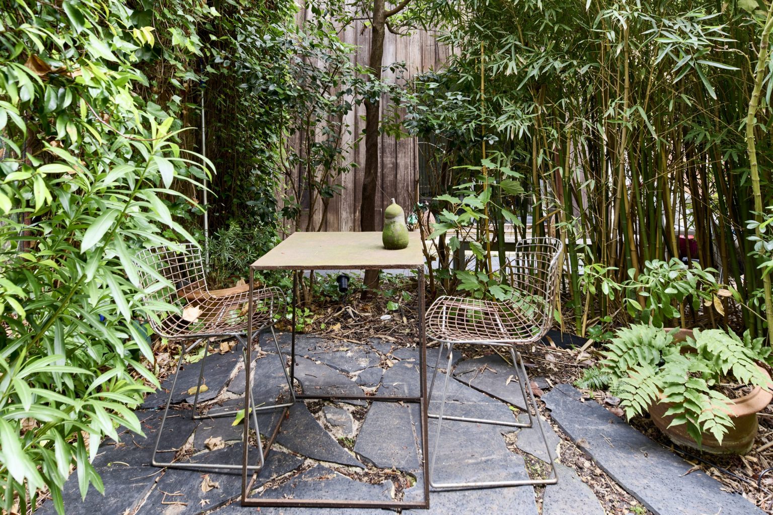 patio avec bambous